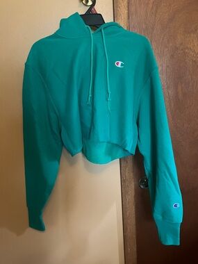 Champion cropped hoodie